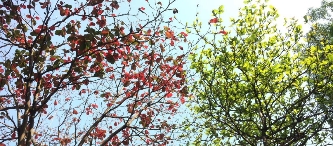 Presiunea schimbării. Din interiorul și din exteriorul nostru